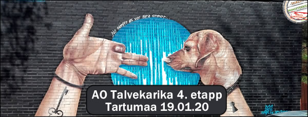 http://www.seiklusministeerium.ee/wp-content/uploads/2019/12/facebook_cover_tartumaa_190120_autoorienteerumine_600.jpg